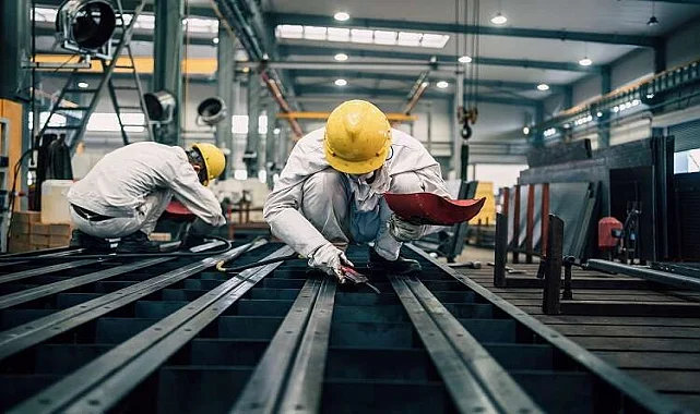 Hatundere Fare İlaçlama